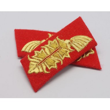 Heer Officer Collar Tabs(General)