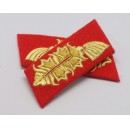 Heer Officer Collar Tabs(General)