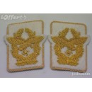 Luftwaffe Generaloberst Collar Tabs