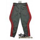 WW2 German General Field Gray Breeches