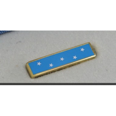 MOH Lapel Pin