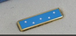 MOH Lapel Pin