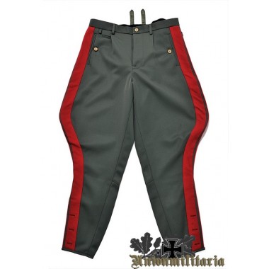 WW2 German General Field Gray Breeches