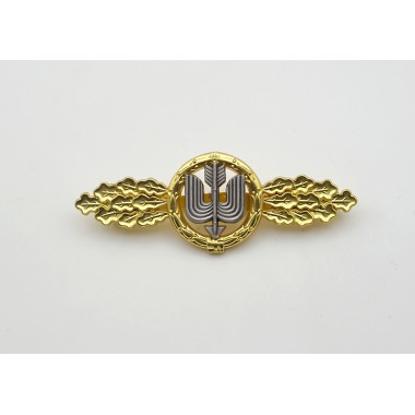 Long Range Day Fighter Squadron Clasp in Gold