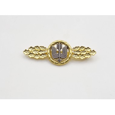 1957 Long Range Day Fighter Clasp in Gold