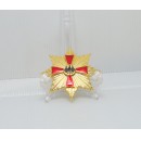 Grand Cross Special Class of the Order of Merit of the Federal Republic of Germany