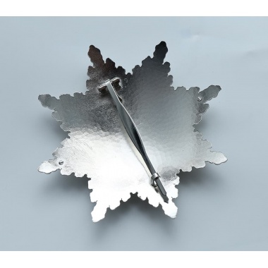 The Grand Cross Star of Leopold（Austria)